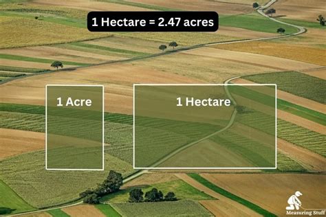 how many hectares is um matina